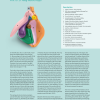 Vulva Model (coloured and detailed) - Image 2